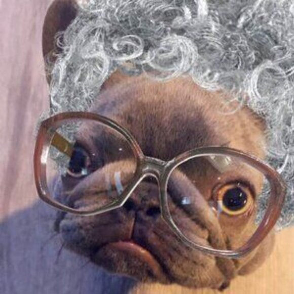 I'M LIVE - Picture 6 of 8